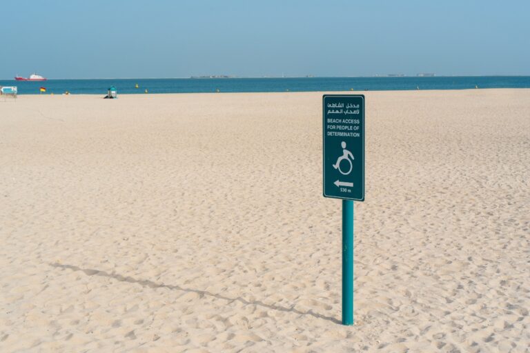 Dubai announces new law to preserve rights of people with special needs
