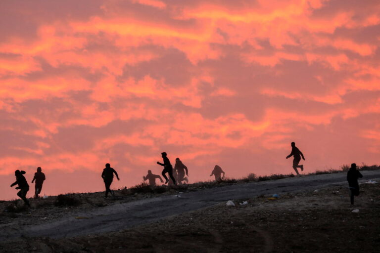 Israeli police and Bedouin clash in tree-planting protests