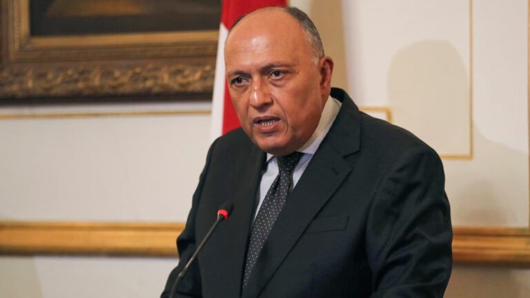 Egypt, UK ministers talk climate change agenda ahead of COP27