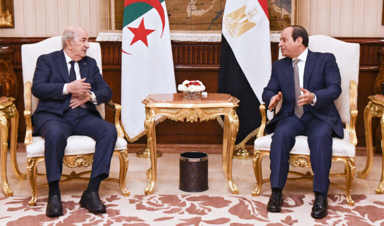 Egyptian, Algerian presidents hold talks in Cairo