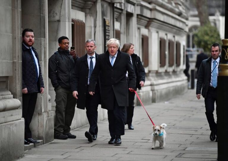 Email contradicts UK PM’s claim over evacuation of animals from Afghanistan