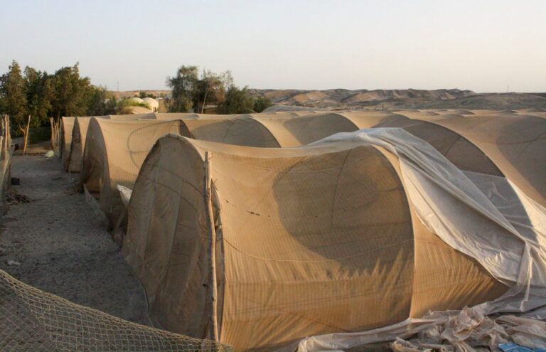 Egypt studying seawater-desalination projects using renewable energy
