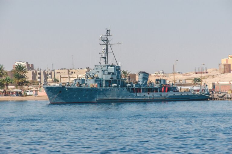 Naval exercises launched in Red Sea