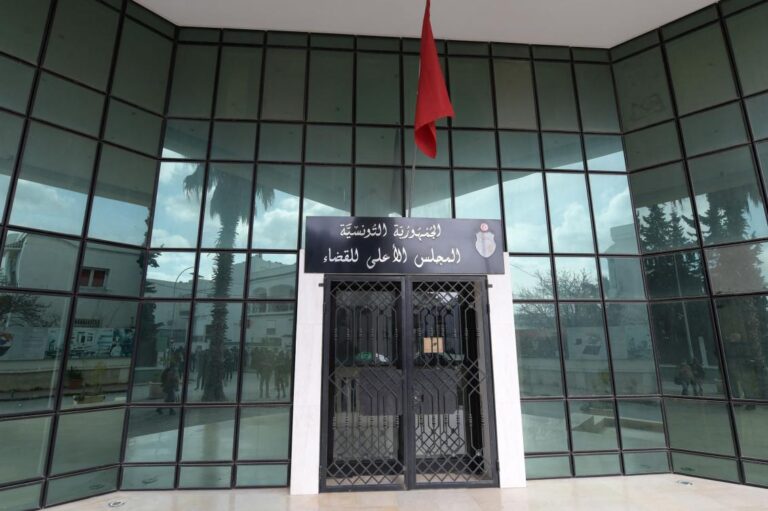 Tunisian president to change judicial council: Minister