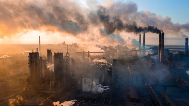 Pollution causing more deaths than COVID, action needed, says UN expert