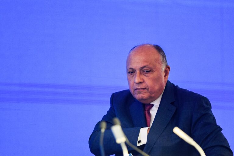 Egypt FM urges end to Syrian political stalemate