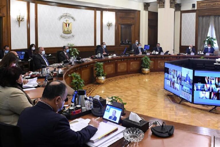 Egyptian Cabinet discusses Russia-Ukraine crisis