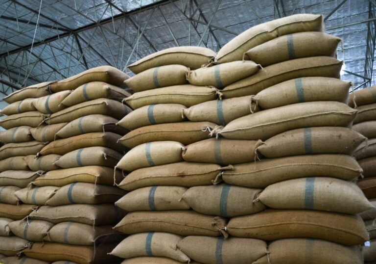 Egypt: No need for more wheat imports in short or medium term