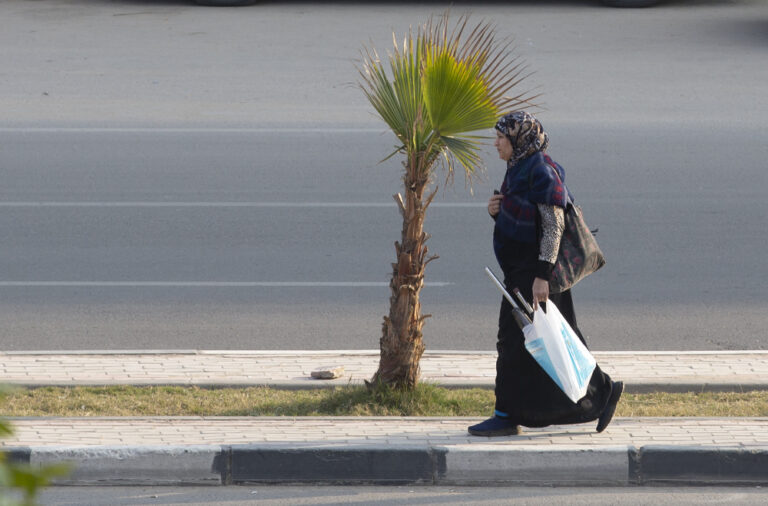 As Cairo transforms, Egyptians fight to save their trees