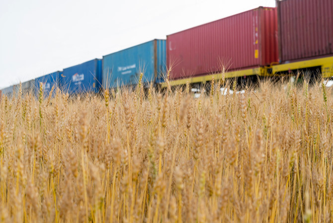 Egypt buys 126,000 tons of wheat from Russia, Ukraine as conflict rages on
