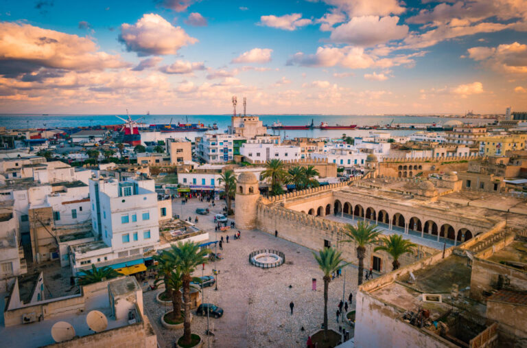 Tunisia’s labor union says it opposes ‘painful’ economic reforms