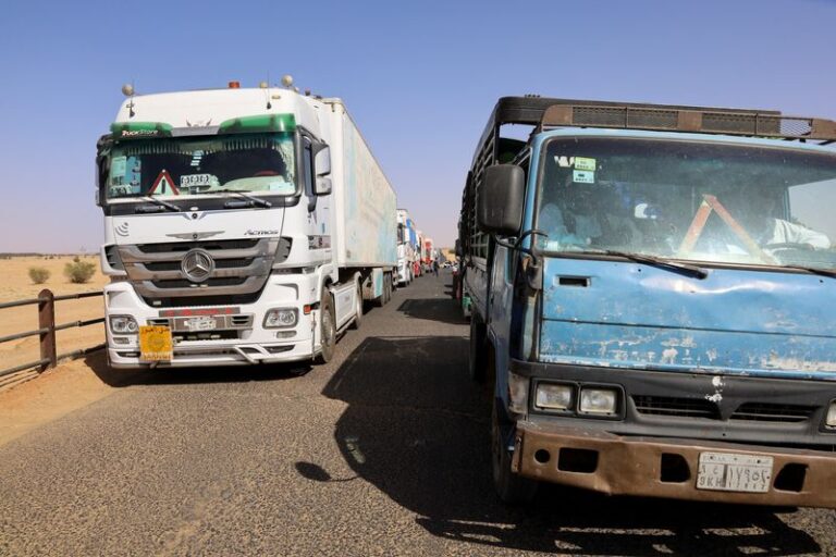 Egyptian goods enter Sudan normally after pause due to Sudanese demonstrations