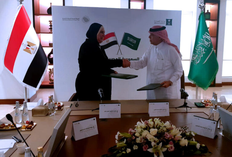 Value of trade exchange between Egypt and Saudi Arabia hit $8 billion in 2021