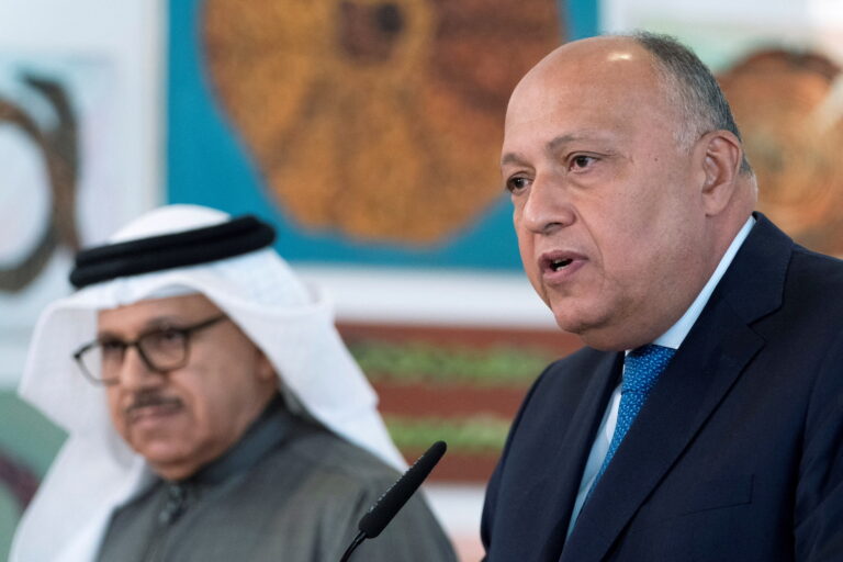 Negev Summit aimed at promoting peace: Egypt