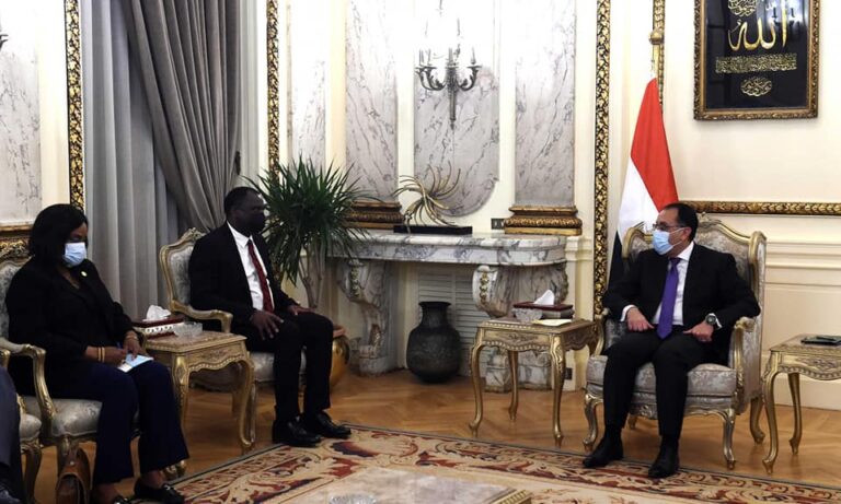 Egypt keen to host African Medicines Agency headquarters