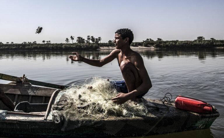 How AI is advancing the Middle East’s goal of sustainable fishing