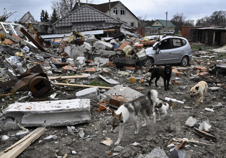 Biden accuses Putin’s forces of ‘genocide’ in Ukraine