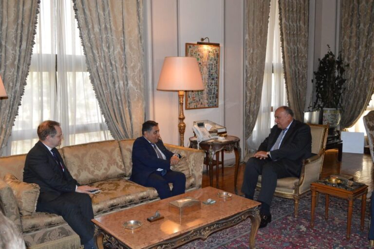 Egyptian, British ministers hold talks