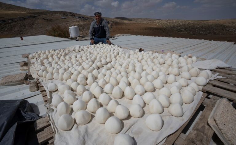 Egyptian Foreign Ministry: Israeli plans to demolish West Bank villages undermine peace prospects