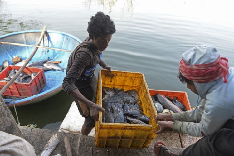 Barred from earning livelihood, Muslim fishermen ask Indian court for right to die