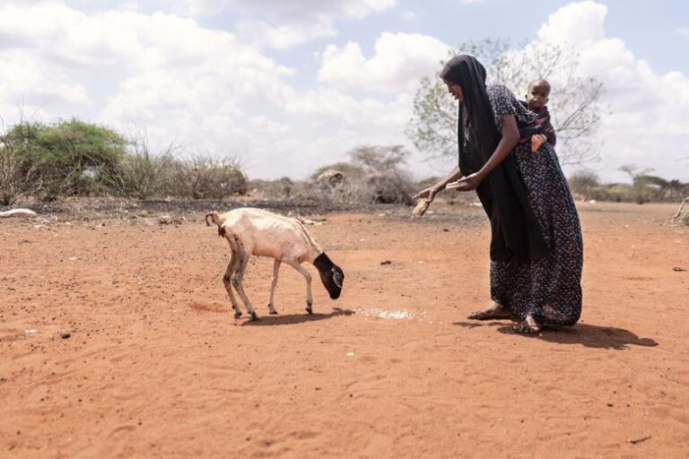Britons unaware of Horn of Africa hunger crisis: Poll