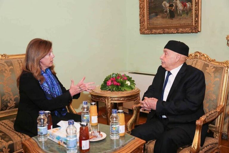 Egypt urges Libyan officials to ‘seize the opportunity’ at Cairo meetings