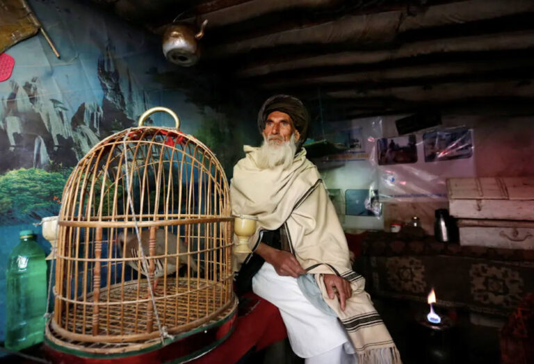 Fears abound at Afghanistan’s largest bird market that swansong is nearing