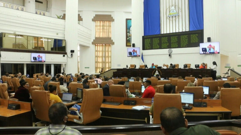 Nicaraguan government abolishes 83 more NGOs, civic groups