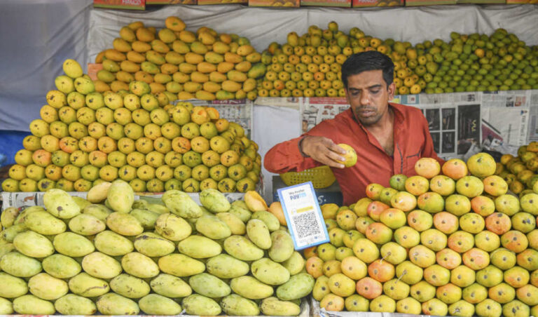India’s king of fruits, mango, falls victim to climate change
