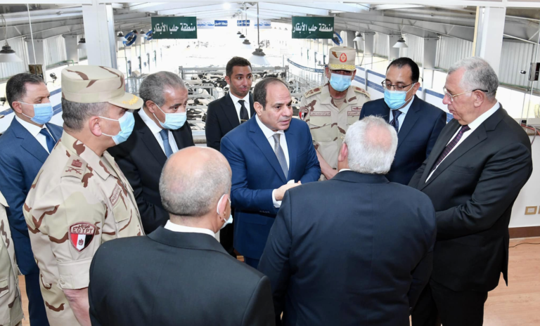 El-Sisi thanks Saudi Arabia and UAE for their support