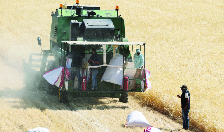 Lebanon committed to reform in exchange for a viable program