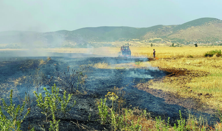 Heatwave and fires damaging Tunisia’s grain harvest