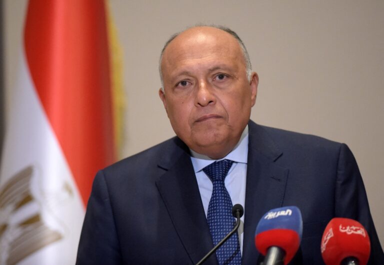 Egypt FM meets with UK business community