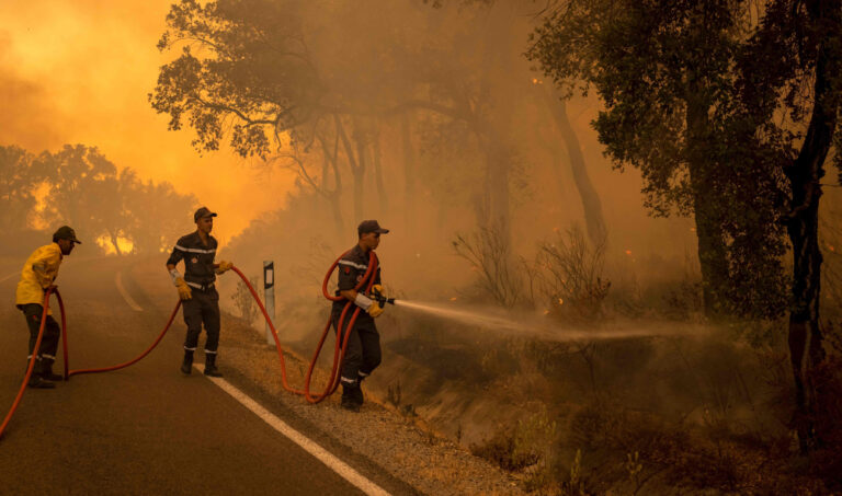 More firefighters, soldiers sent to tackle Morocco’s forest blazes