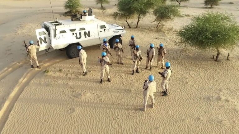 Egyptian special forces receive training for UN peacekeeping mission in Mali