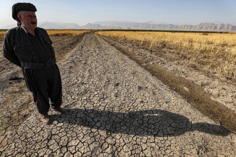 Iraqi Kurd farmers battle drought as Lake Dukan retreats