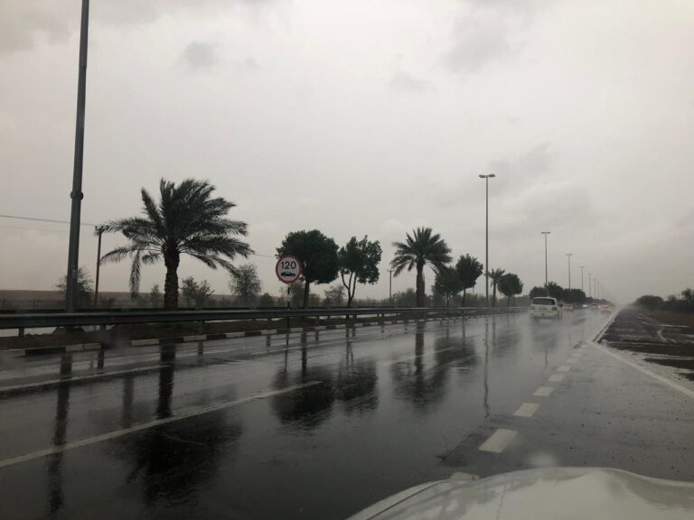UAE to inspect damages of torrential rain, implement urgent measures