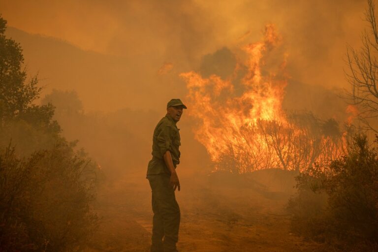 Morocco steps up efforts to contain forest fires sweeping across north