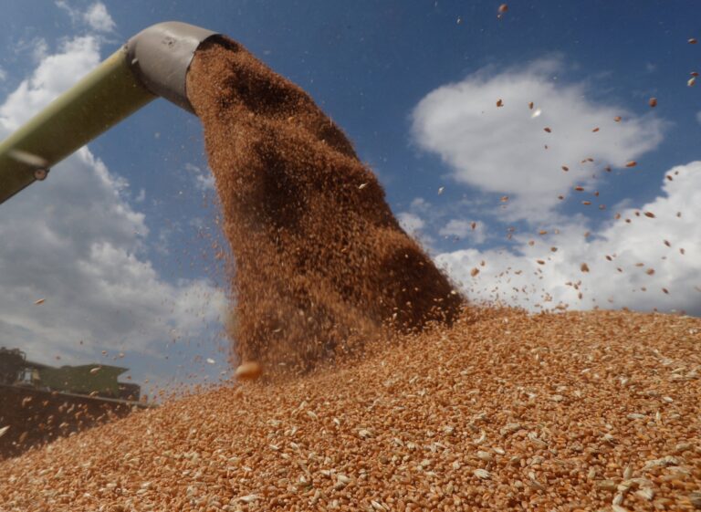 Arab League makes food security priority amid global crisis