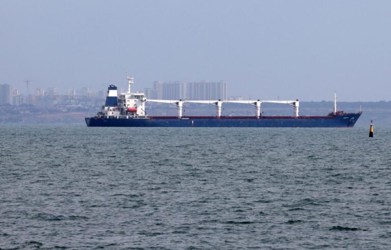 First Ukrainian grain shipment since invasion reaches Turkey