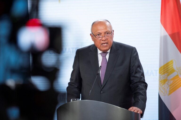 Egyptian FM, US special envoy discuss coordination on climate change