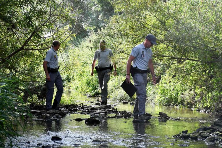 Driest July in memory imperils Europe’s crops