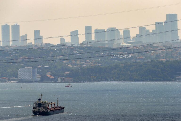 Inspectors in Turkey check ship heading to load Ukrainian grain – ministry