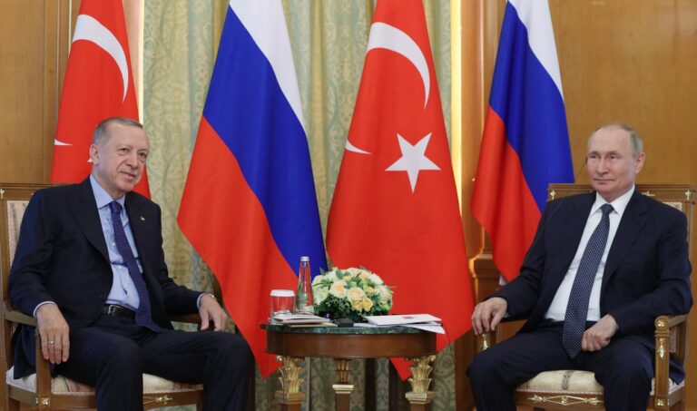 Erdogan plays up diplomatic gains with eye on elections