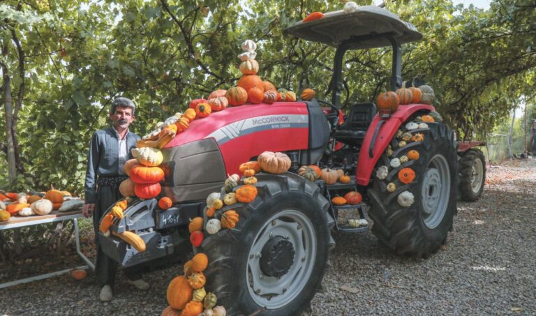Kurdish Iraqi farmer sprouts online advice, green awareness