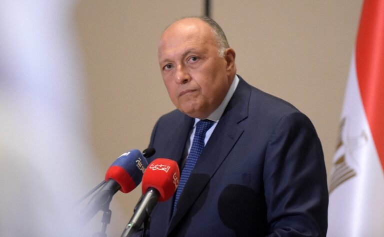 Egypt’s FM addresses Caribbean meeting on climate change