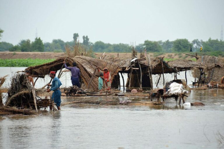 Pakistan appeals for international assistance after floods