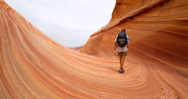 SpaceX and T-Mobile unveil satellite plan to end cellphone ‘dead zones’