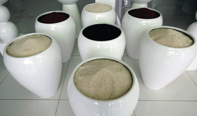 Bangladesh to import rice from Vietnam and India to replenish reserves