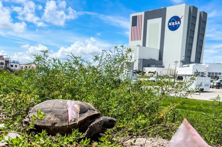 NASA unsure next Moon rocket launch attempt possible this month